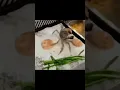Mr Krabs Fries himself then screams in agony viral