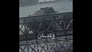 خليني ف حضنك تامر عاشور حالات واتساب 