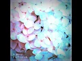 In Bloom