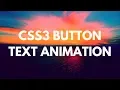 CSS3 Button Text Animation Tutorial For Beginners
