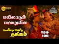 Download Lagu மயிலாடும் பாறையிலே HD Video Song | பாண்டி நாட்டு தங்கம் | கார்த்திக் | நிரோஷா | இளையராஜா
