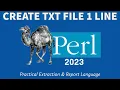 Perl Programming - Create File In 1 Line 2023