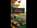Download Lagu Butterfly GPS: Nature's Mystery!