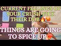 Lagu 🌹Current feelings of your crush😍🔥 | Pick their dob🔮 | Timeless Hindi Tarot