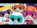 Download Lagu SuperKitties Su-Purr Adventures Shorts | Oopsie Kitty! \u0026 MORE! | Compilation | @disneyjr
