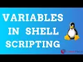 A view of Variables in Shell scripting