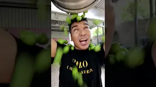 MANGOS MANGOS MANGOS 