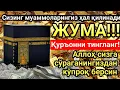 Download Lagu ЖУМА КУНИ РАЖАБ ОЙИДА ОМАД УЧУН ДУО.НАБИ МУҲАММАДﷺОҚИГАНЛАР,ПУЛ ҲАР ДОИМ СИЗГА КЕЛАДИ,ИНШААЛЛОҲ MP3