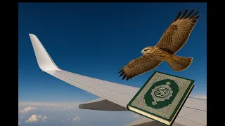 سر الجنيح الط رفي  إعجاز قرآني وهندسة طيران           دندنها