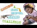 Catching a FLORIDA CURLY TAIL LIZARD challenge