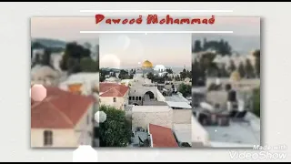 فيك هذا القلب هام دندنها