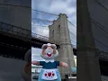 Download Lagu Onze hamster is op avontuur in New York 🐹🗽 Wat doen jullie deze meivakantie?