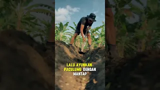 Lebih lama ngeditnya dari pada maculnya 😂 #cangkul