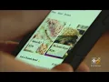 Restaurant Accuses Grubhub Of Selling Food For Delivery Without Consent