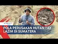Pola Perusakan Hutan Tak Lazim Picu Banjir Bandang di Sumatera