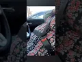 Ssbbw in car
