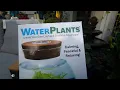 Testing an Aquatic Terrarium From Menards