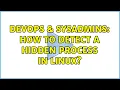 DevOps SysAdmins How to detect a hidden process in linux 8 Solutions