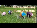 Lagu Cara Membersihkan Rumput/Matun