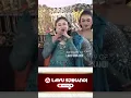 Download Lagu kembarane niken salindri versi lio  #lawusrikandi #wayangkulit #wayangkulitindonesia
