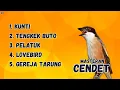 Download Lagu MASTERAN CENDET MATERI  KUNTI,  TENGKEK BUTO, PELATUK,  lOVEBIRD, GEREJA TARUNG