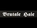 Download Lagu Brutale Haie - TV Star