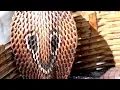Download Lagu Snake King Cobra Enjoy Flute Music Play by Snake Charmer|| Amazing Street Show || Faizabad ,India