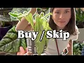Lowe s vs Home Depot Plant Shopping What I d Buy vs Skip