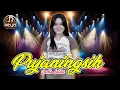 Download Lagu Pujaningsih - Gadis Jelita ( Mojo Music Live )