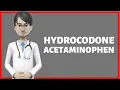 Hydrocodone Acetaminophen hydrocodone acetaminophen 5 325 mg