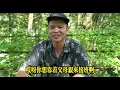 Download Lagu 父母親跟大哥的百年恩怨，父親丟失食國家糧的鐵飯碗，大哥接班夢破滅