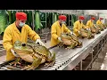 Inside the Frog Leather Factory-How Exotic Skins Become Luxury Items (Full Process) Million Dollar??