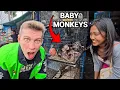 Download Lagu Inside an ILLEGAL Exotic Animal Market in Jakarta (Shocking!) 🇮🇩