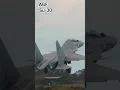 Lagu SU-30 Jet Fighter: Wonderful maneuver #acehgunfishing