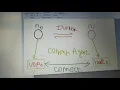 my first program in ns2 simple 2 nodes using wired communication