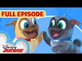 Puppy Dog Pals First Full Episode Hawaii Pug-Oh A R F disneyjr