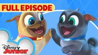 Puppy Dog Pals First Full Episode Hawaii Pug-Oh A R F disneyjr