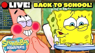 LIVE SpongeBob s Funniest Boating School Moments SpongeBob