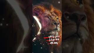 ١٩ أكتوبر ٢٠٢٥ 