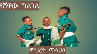 Mihret Tilahun Ye Shiwaw Gilgel ምህረት ጥላሁን የሽዋው ግልገል New Ethiopian Music 2024 Official Video 
