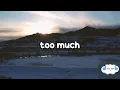 Download Lagu The Kid LAROI, Jung Kook, Central Cee - TOO MUCH (Clean - Lyrics)