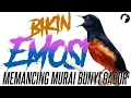 Download Lagu Kretekan murai batu paling Ampuh bikin semua lawan langsung emosi//Di jamin emosi seketika.