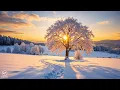 Lagu Rustige ontspannende muziek, kalmerende instrumentale muziek voor vrede ❄️De natuur van de winter