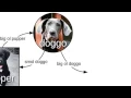 Doggo tutorial 100 still working 2025 hack glitch don t report
