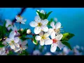 Download Lagu 10 Hours of Relaxing Music: Piano Music, Positive Music, Study Music (Madison)