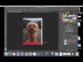2 Adding Images