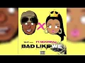 Download Lagu Nicki Minaj - Bad Like We (UNRELE4SED)!!!