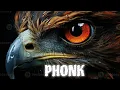 Download Lagu phonk ringtone music 😈