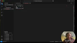 Week 2 - Lesson 4 JavaScript Conditional Statements Switch and Ternary Operator