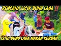 Download Lagu BANG REY LAMPUNG TERBARU ISTRI BUNG LAGA MAKAN KORBAN TUMBALKAN JABRIK DEMI PENGARUHI BANG REY